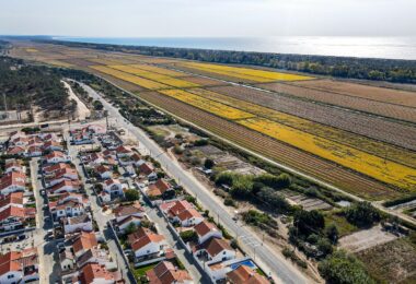 Portugalia, Comporta / Alentejo Coast, Comporta