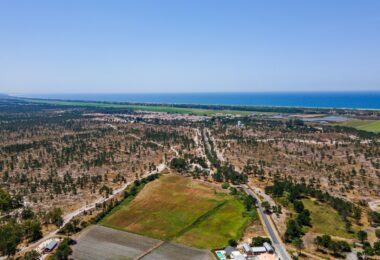 Portugalia, Comporta / Alentejo Coast, Possanco