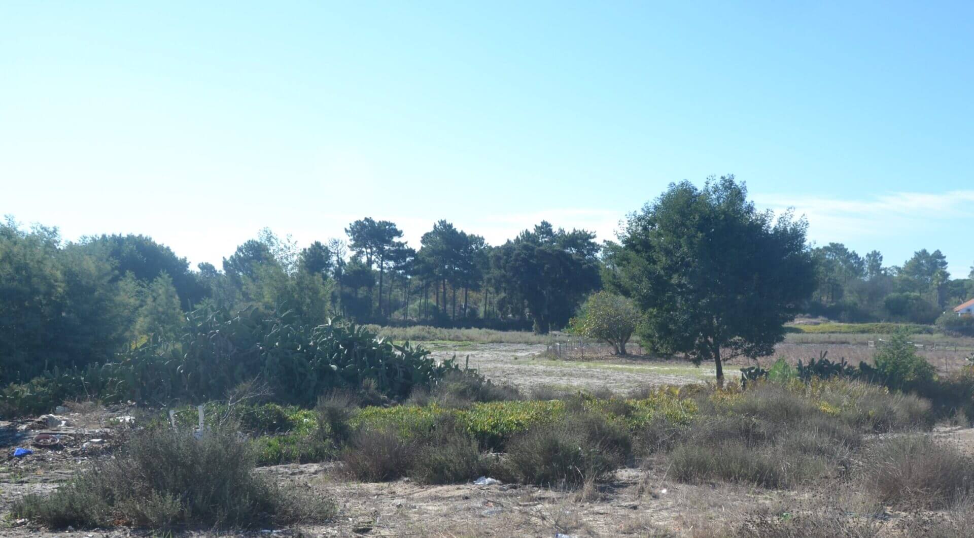 Portugalia, Comporta / Alentejo Coast, Possanco