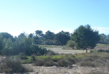Portugalia, Comporta / Alentejo Coast, Possanco