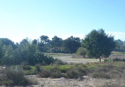 Portugalia, Comporta / Alentejo Coast, Possanco