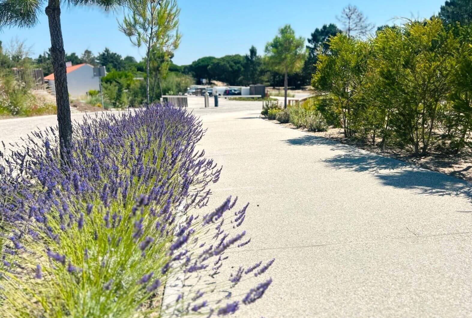 Portugalia, Comporta / Alentejo Coast, Carvalhal