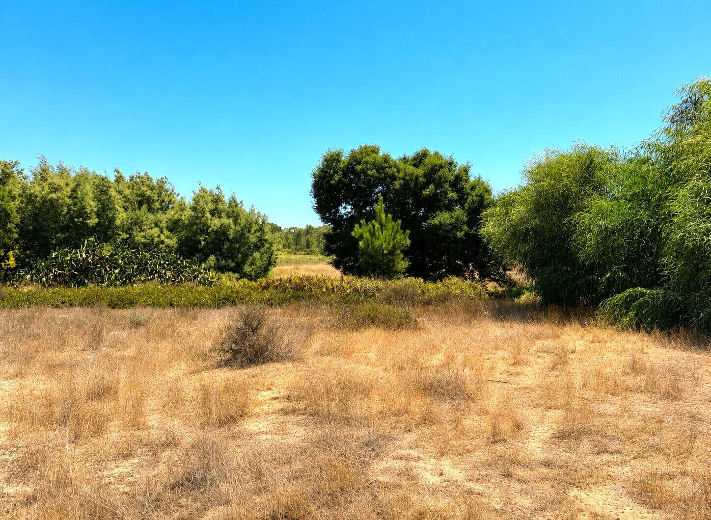 Portugalia, Comporta / Alentejo Coast, Possanco