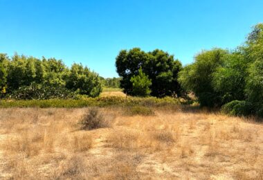 Portugalia, Comporta / Alentejo Coast, Possanco
