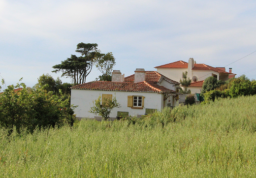 Portugalia, Cascais, Azoia