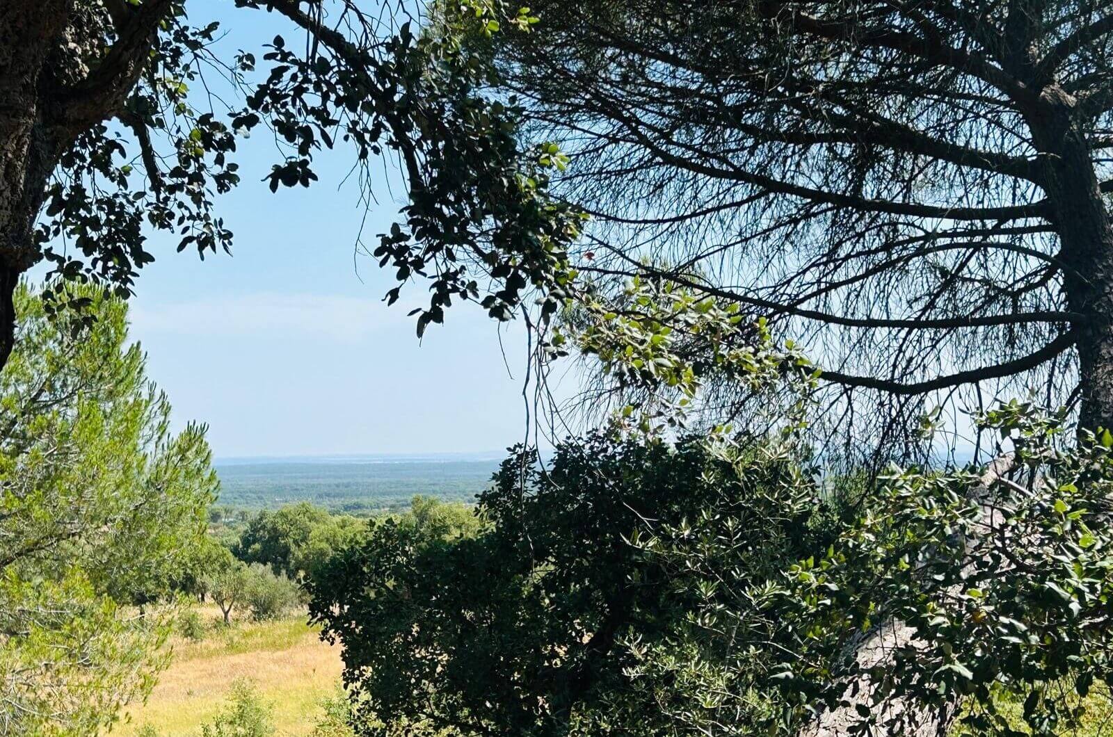 Portugalia, Comporta / Alentejo Coast, Melides