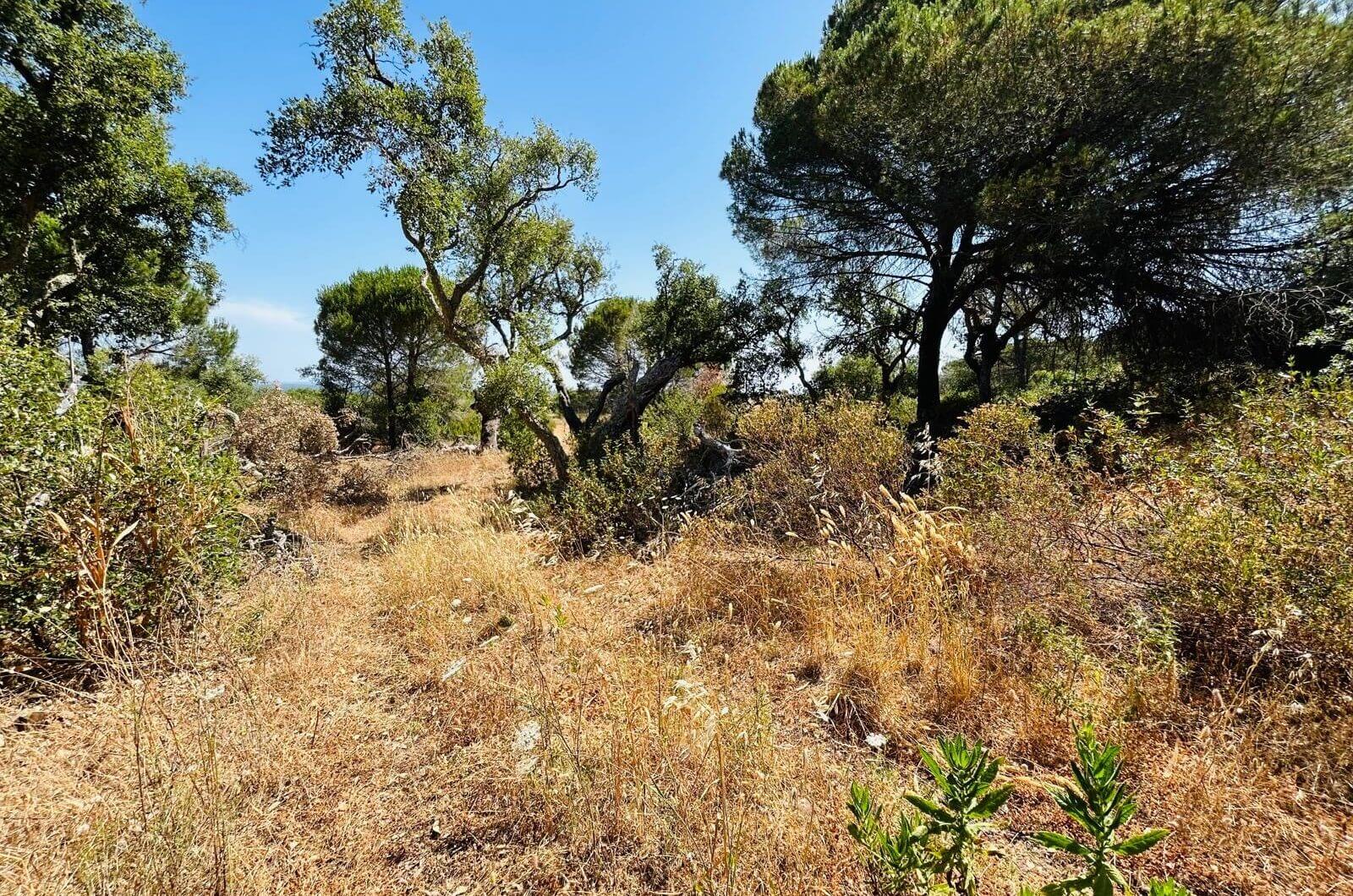 Portugalia, Comporta / Alentejo Coast, Melides