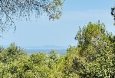 Portugalia, Comporta / Alentejo Coast, Melides