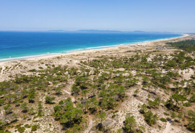 Portugalia, Comporta / Alentejo Coast, Pego