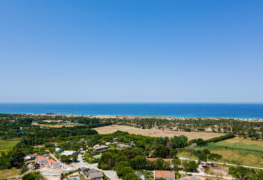 Portugalia, Comporta / Alentejo Coast, Pego