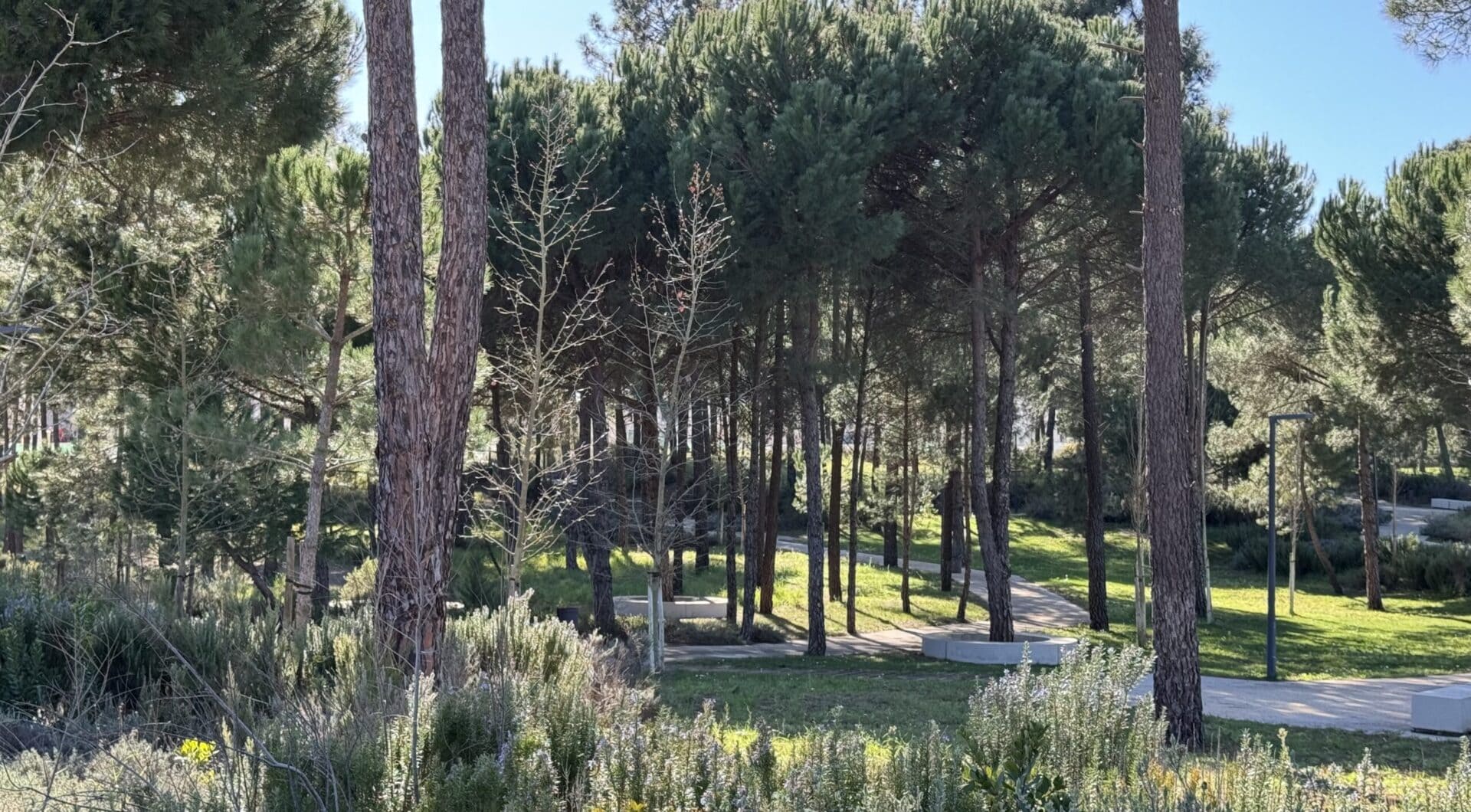 Portugalia, Comporta / Alentejo Coast, Muda