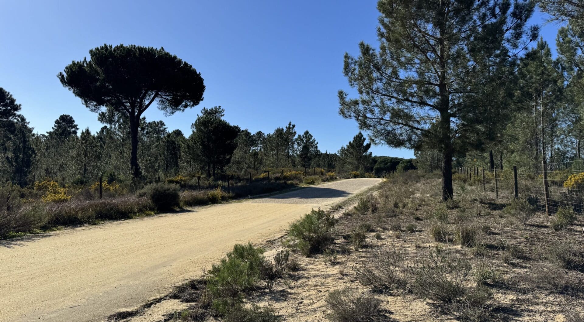 Portugalia, Comporta / Alentejo Coast, Muda