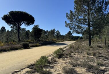 Portugalia, Comporta / Alentejo Coast, Muda