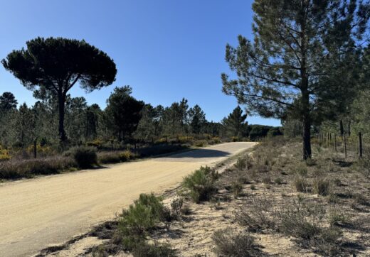 Portugalia, Comporta / Alentejo Coast, Muda