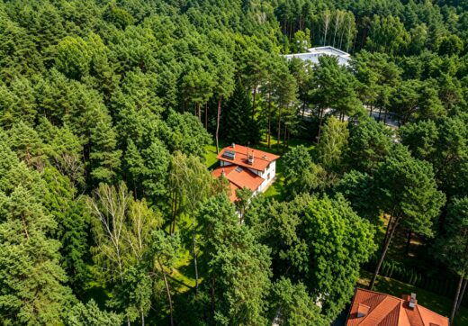 6624 m² przy ul. Potulickich | Konstancin-Jeziorna