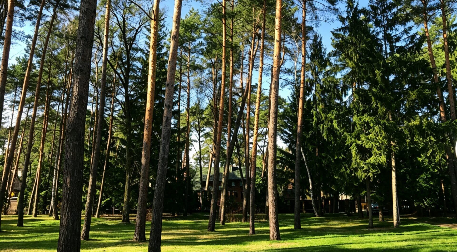 6624 m² przy ul. Potulickich | Konstancin-Jeziorna