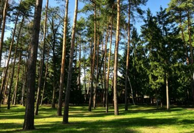 6624 m² przy ul. Potulickich | Konstancin-Jeziorna