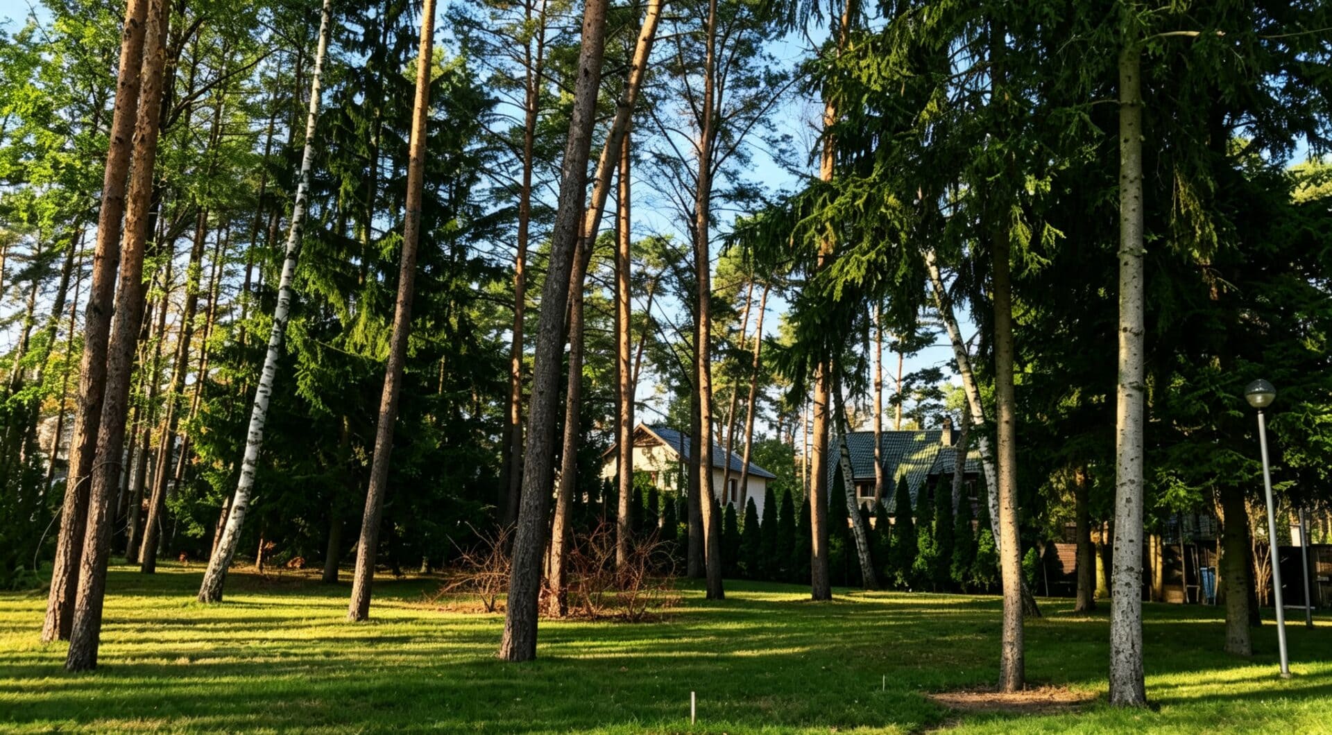 6624 m² przy ul. Potulickich | Konstancin-Jeziorna