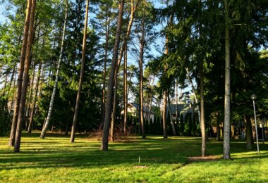 6624 m² przy ul. Potulickich | Konstancin-Jeziorna