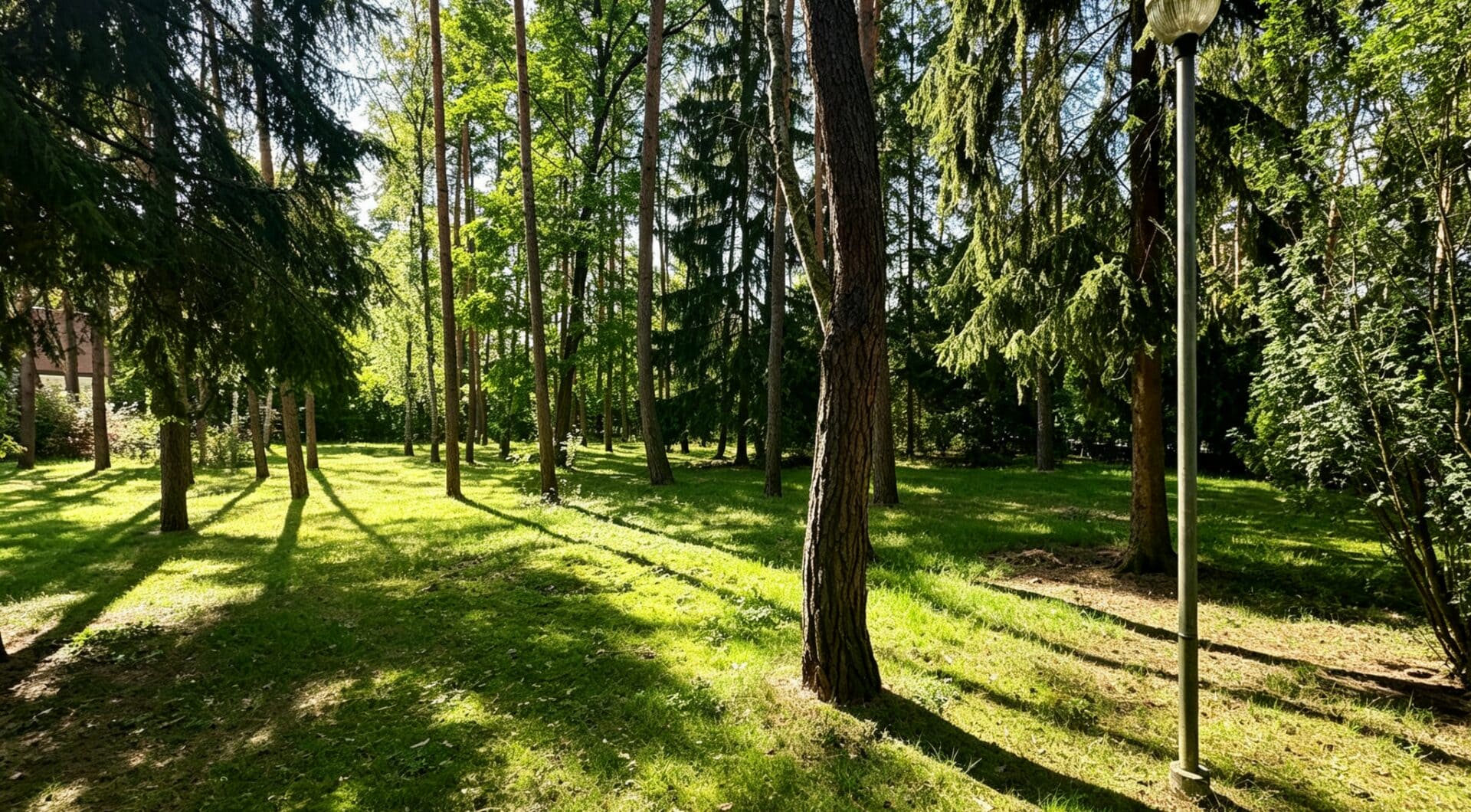 6624 m² przy ul. Potulickich | Konstancin-Jeziorna