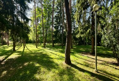 6624 m² przy ul. Potulickich | Konstancin-Jeziorna