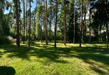 6624 m² przy ul. Potulickich | Konstancin-Jeziorna