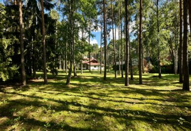 6624 m² przy ul. Potulickich | Konstancin-Jeziorna