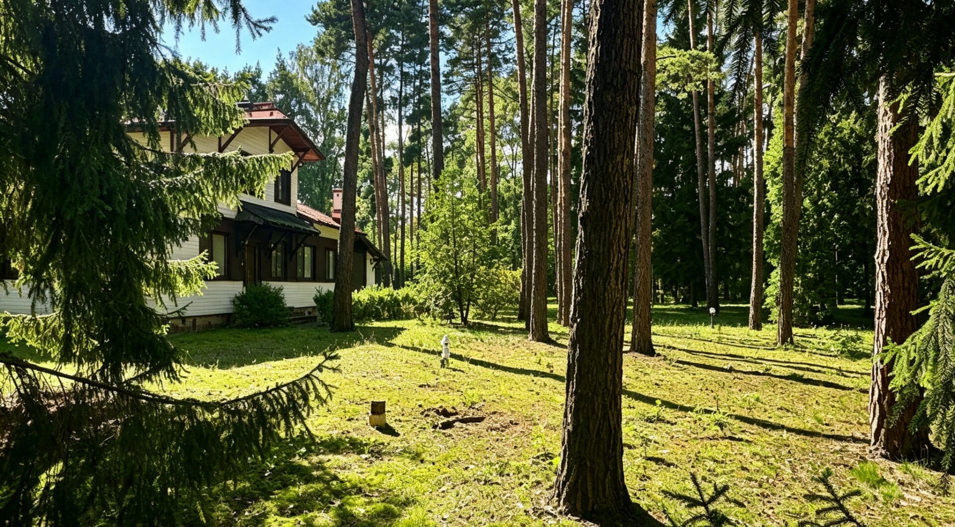 6624 m² przy ul. Potulickich | Konstancin-Jeziorna