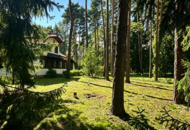 6624 m² przy ul. Potulickich | Konstancin-Jeziorna