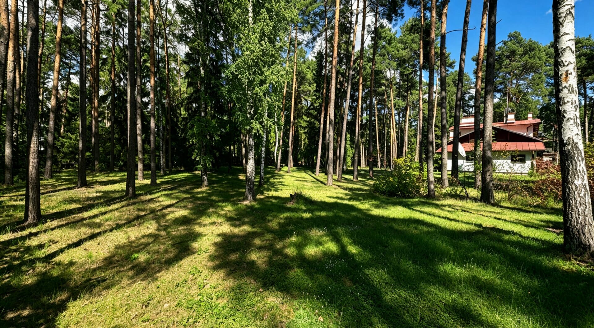 6624 m² przy ul. Potulickich | Konstancin-Jeziorna