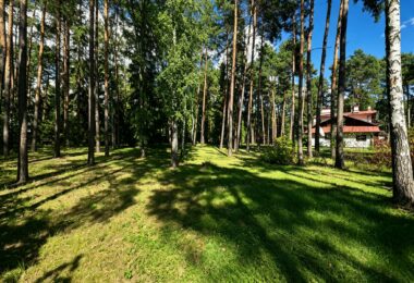 6624 m² przy ul. Potulickich | Konstancin-Jeziorna